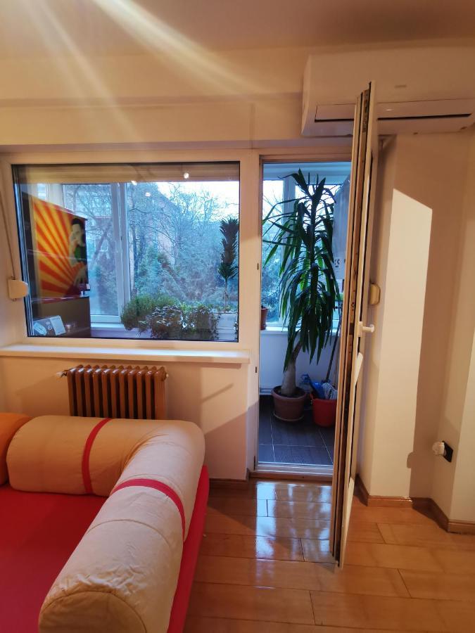 Comfy & Pleasant Apartment 10 Min Walk To Downtown Temeşvar Dış mekan fotoğraf