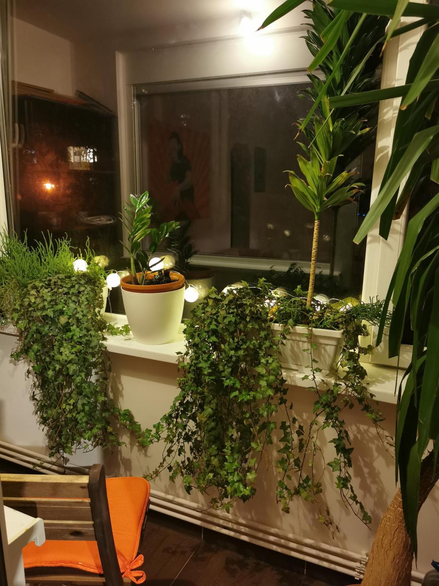 Comfy & Pleasant Apartment 10 Min Walk To Downtown Temeşvar Dış mekan fotoğraf